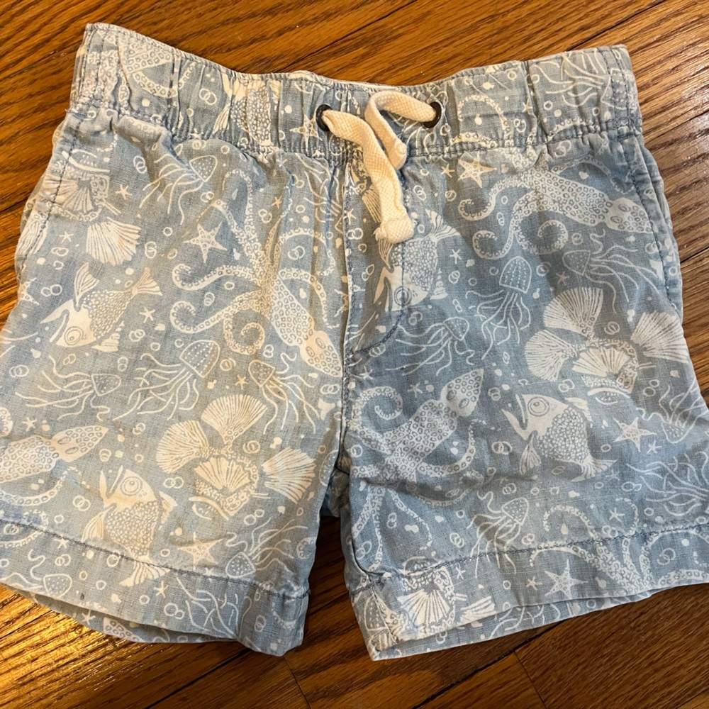 Jcrew crew cuts boy shorts size 3 sea print